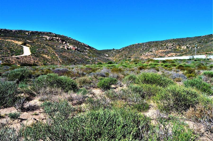 0 Bedroom Property for Sale in St Helena Views Western Cape
